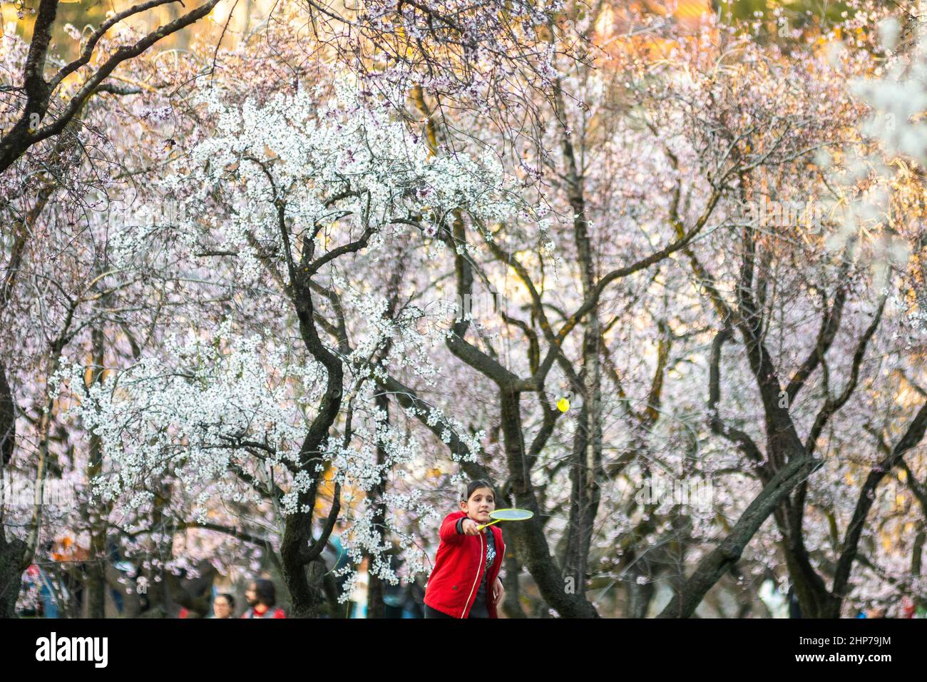 Madrid, Espagne. 18th févr. 2022. Une fille jouant au badminton sous les amandiers récemment en fleur au parc Quinta de los Molinos. Credit: Marcos del Mazo/Alay Live News Banque D'Images