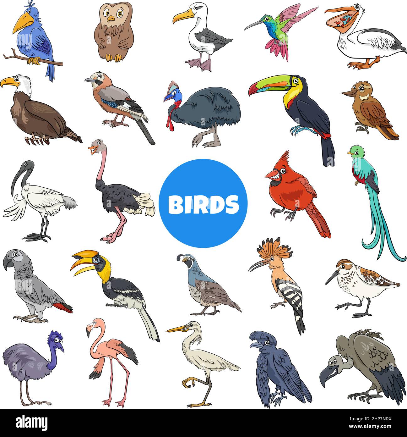 dessins animés oiseaux espèces animaux personnages grand ensemble Illustration de Vecteur
