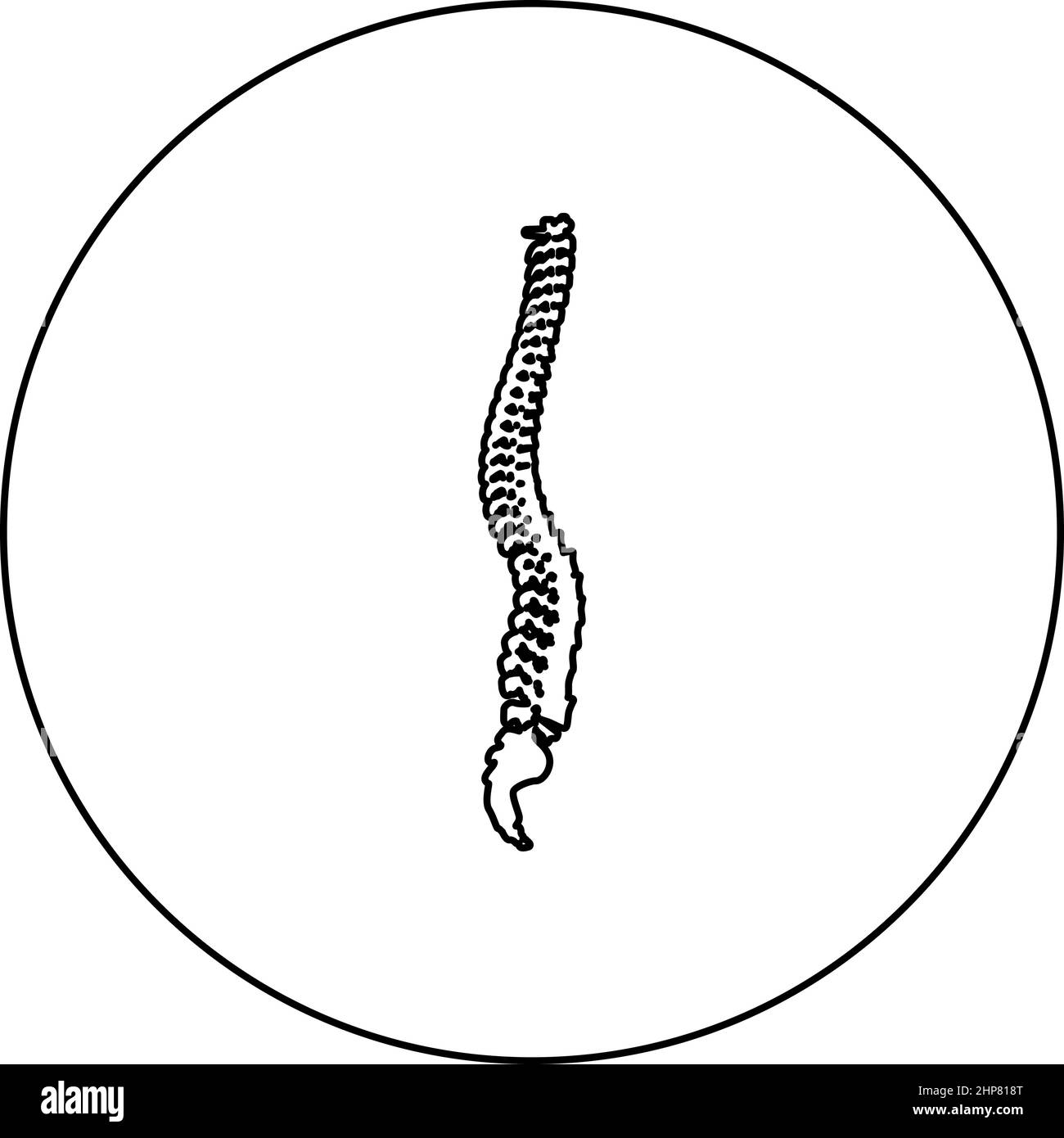 Colonne vertébrale colonne vertébrale colonne vertébrale icône de colonne vertébrale dans le cercle rond noir couleur vecteur illustration image contour ligne de contour style mince Illustration de Vecteur