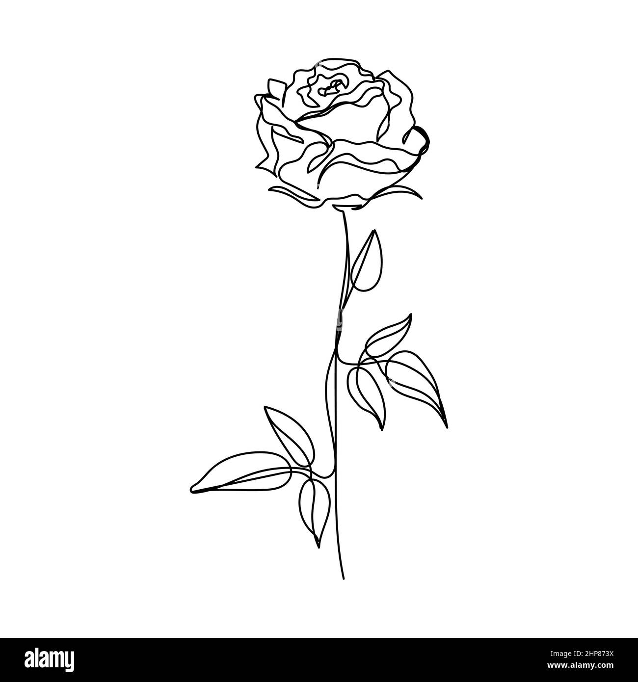 Vecteur continu une seule ligne icône de dessin d'une belle rose unique en silhouette sur fond blanc. Linéaire stylisé. Illustration de Vecteur