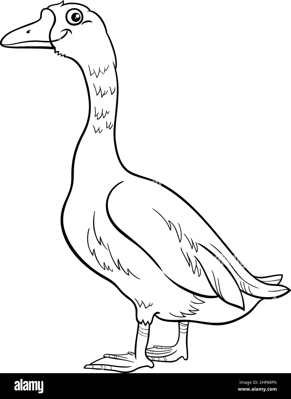 dessin animé oiseau ferme animal caractère coloriage livre page Illustration de Vecteur