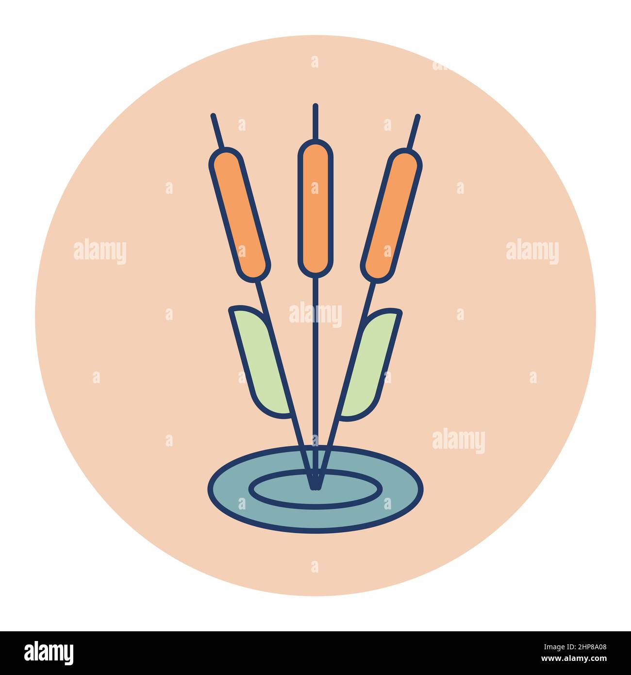 Icône de vecteur de plante Reeds. Signe de la nature Illustration de Vecteur