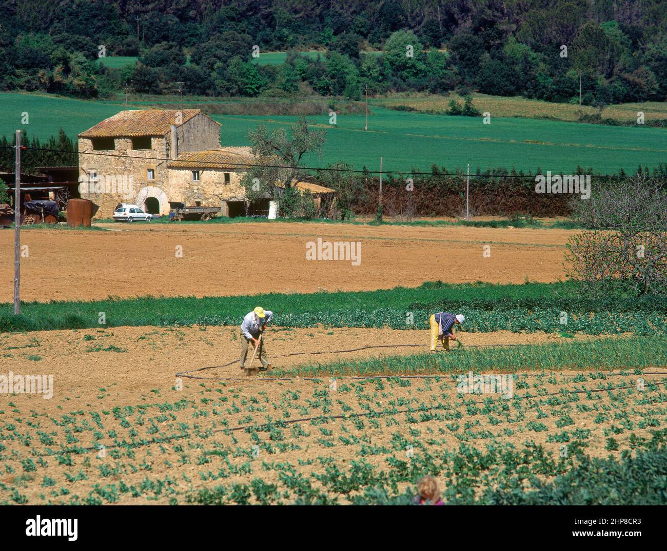 ZONA DE CULTIVO Y MASIA CON AGRICULTORES PLANDO - FOTO AÑOS 90. Emplacement : EXTÉRIEUR. MADREMANYA. GERONA. ESPAGNE. Banque D'Images