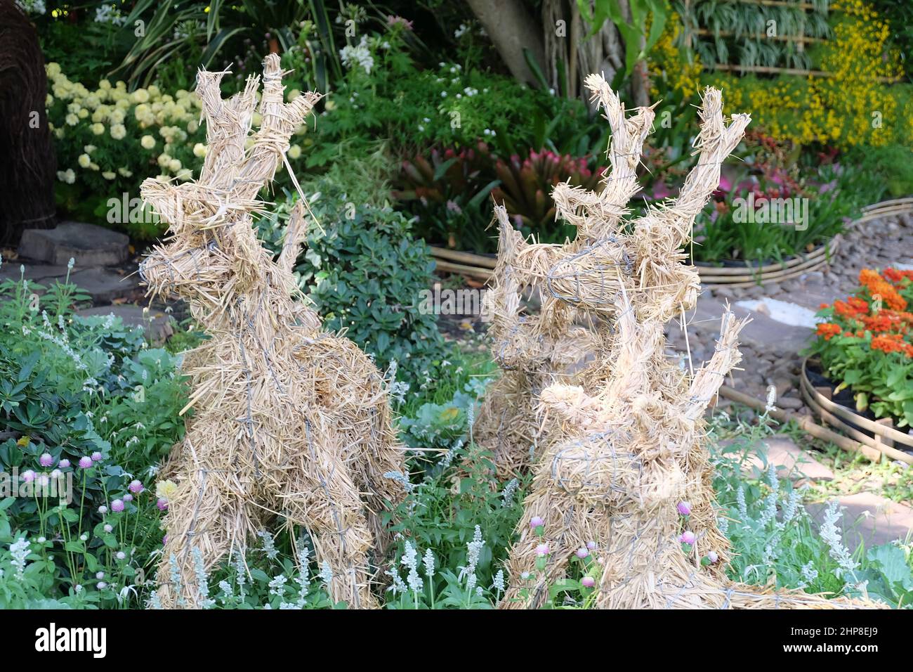 Cerf tissé à base de paille, fait de céréales telles que l'orge, l'avoine, le riz, le seigle et le blé. Banque D'Images