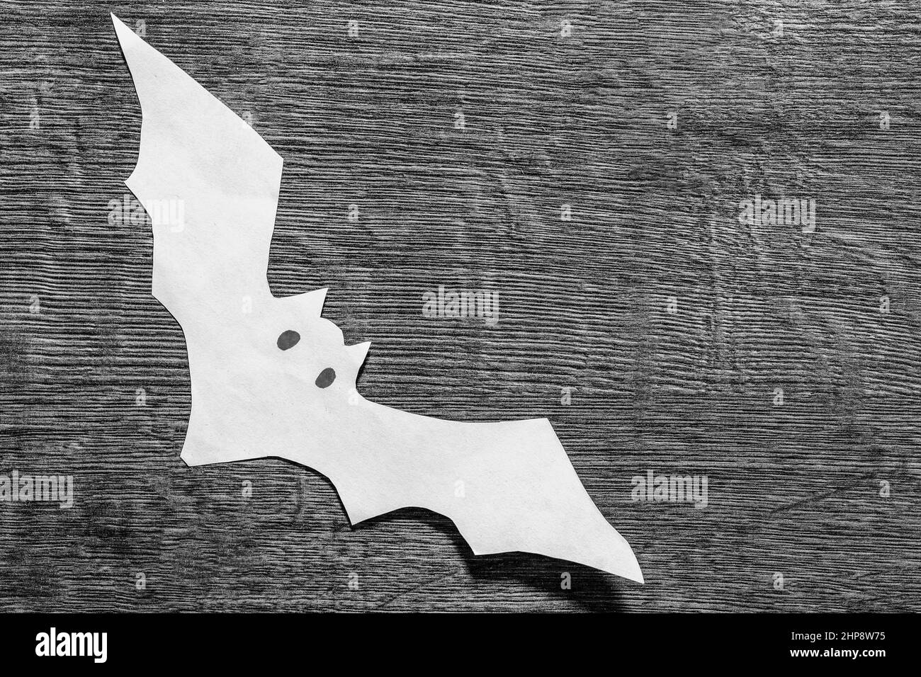 batte sur un fond sombre. Halloween concept.espace de copie. Photo en noir et blanc Banque D'Images