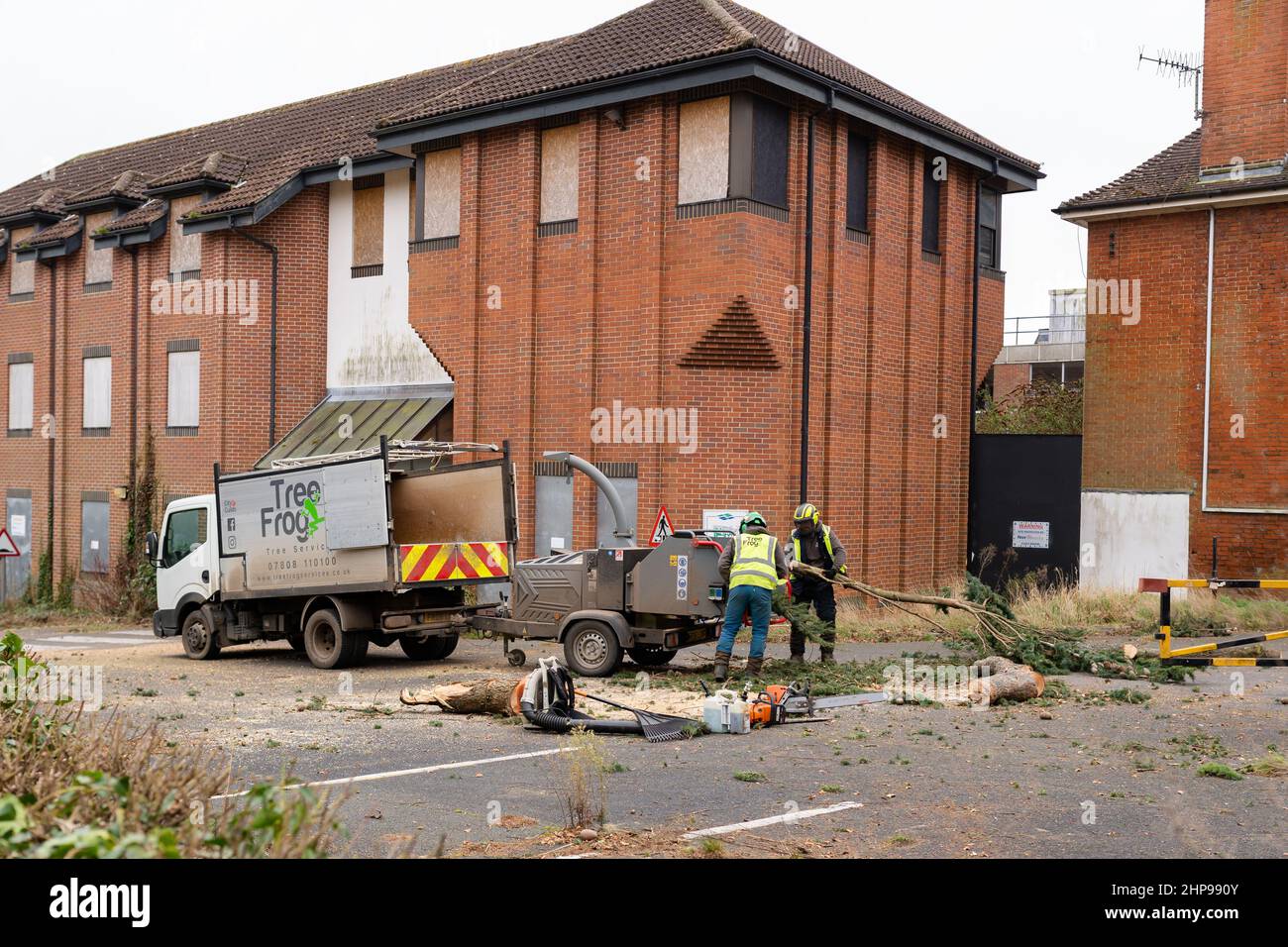 Woodbridge Suffolk UK février 19 2022: Les chirurgiens d'arbres effectuant des travaux d'urgence après une tempête extrême ont causé des dommages à un grand arbre endommageant une maison Banque D'Images