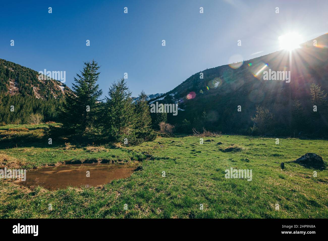 Un train qui se trouve au sommet d'un luxuriant terrain vert Banque D'Images