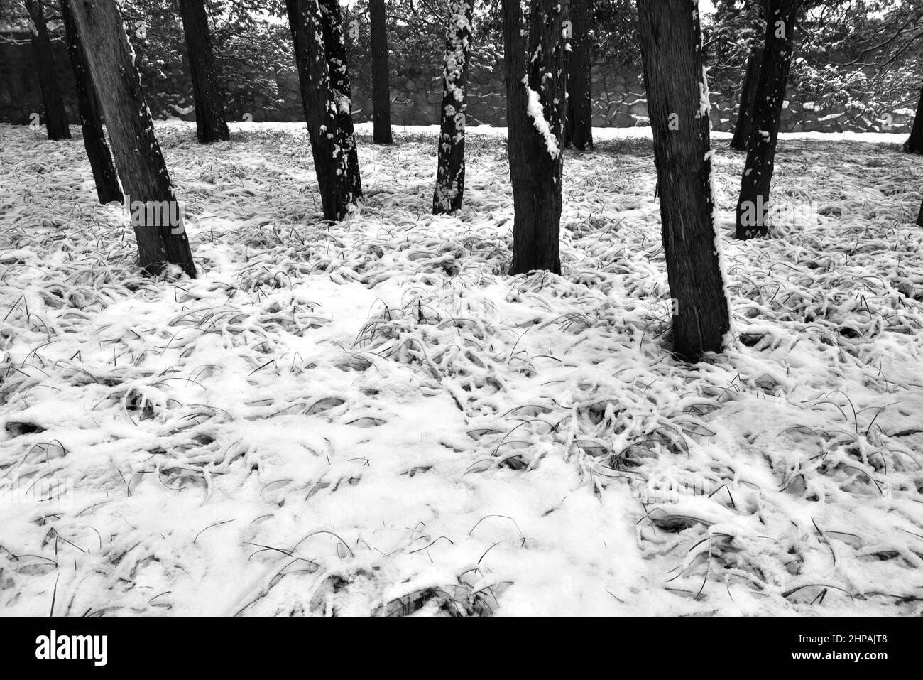Palais d'été en hiver Banque D'Images