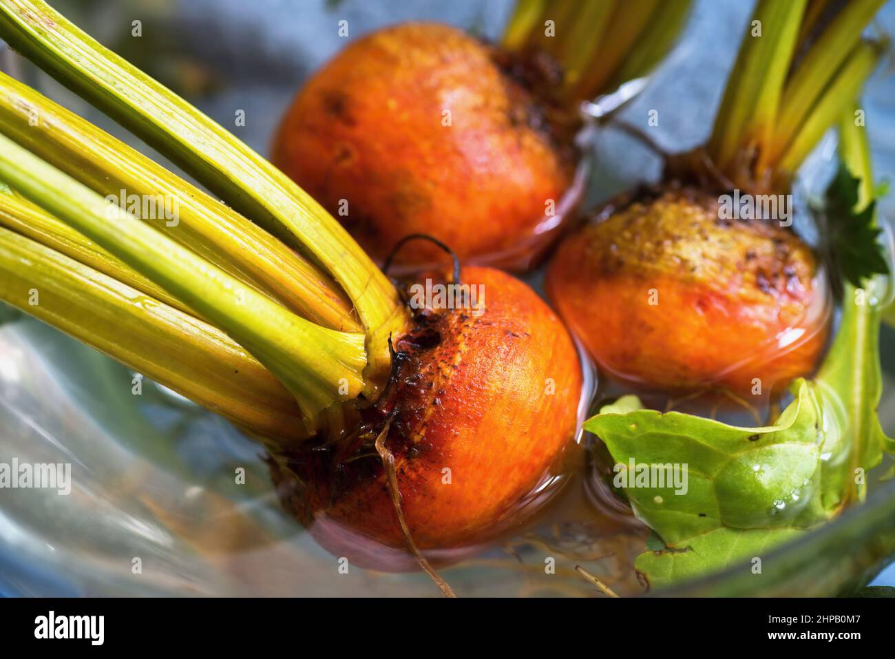 Trois betteraves orange dans l'eau. Gros plan. Banque D'Images