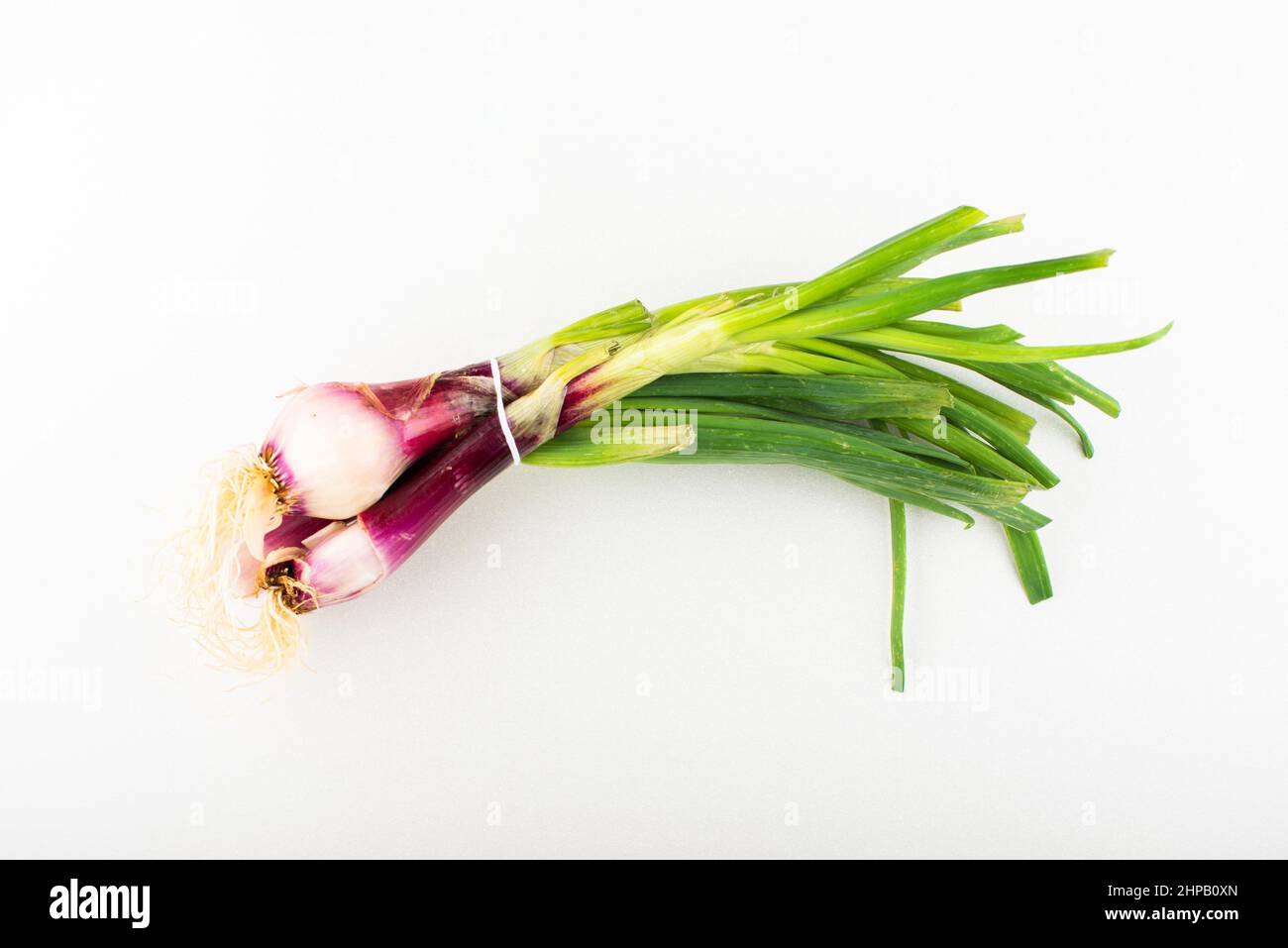 Bouquet d'oignons de printemps de qualité biologique avec racines, pousses et fruits sur fond blanc. Banque D'Images