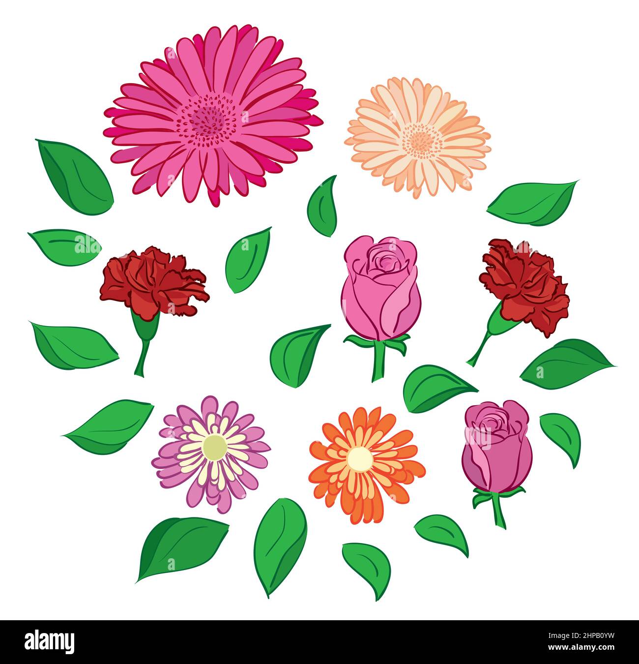ensemble de fleurs et de feuilles vectorielles Illustration de Vecteur