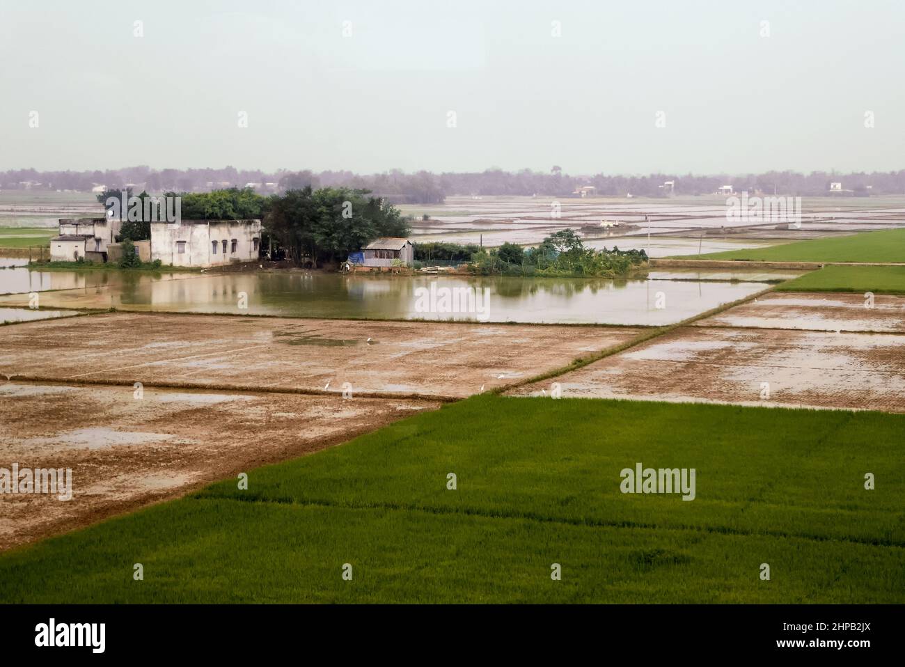 Les rizières inondées dans le delta du Mékong depuis la route express Trung Lương, au Vietnam Banque D'Images