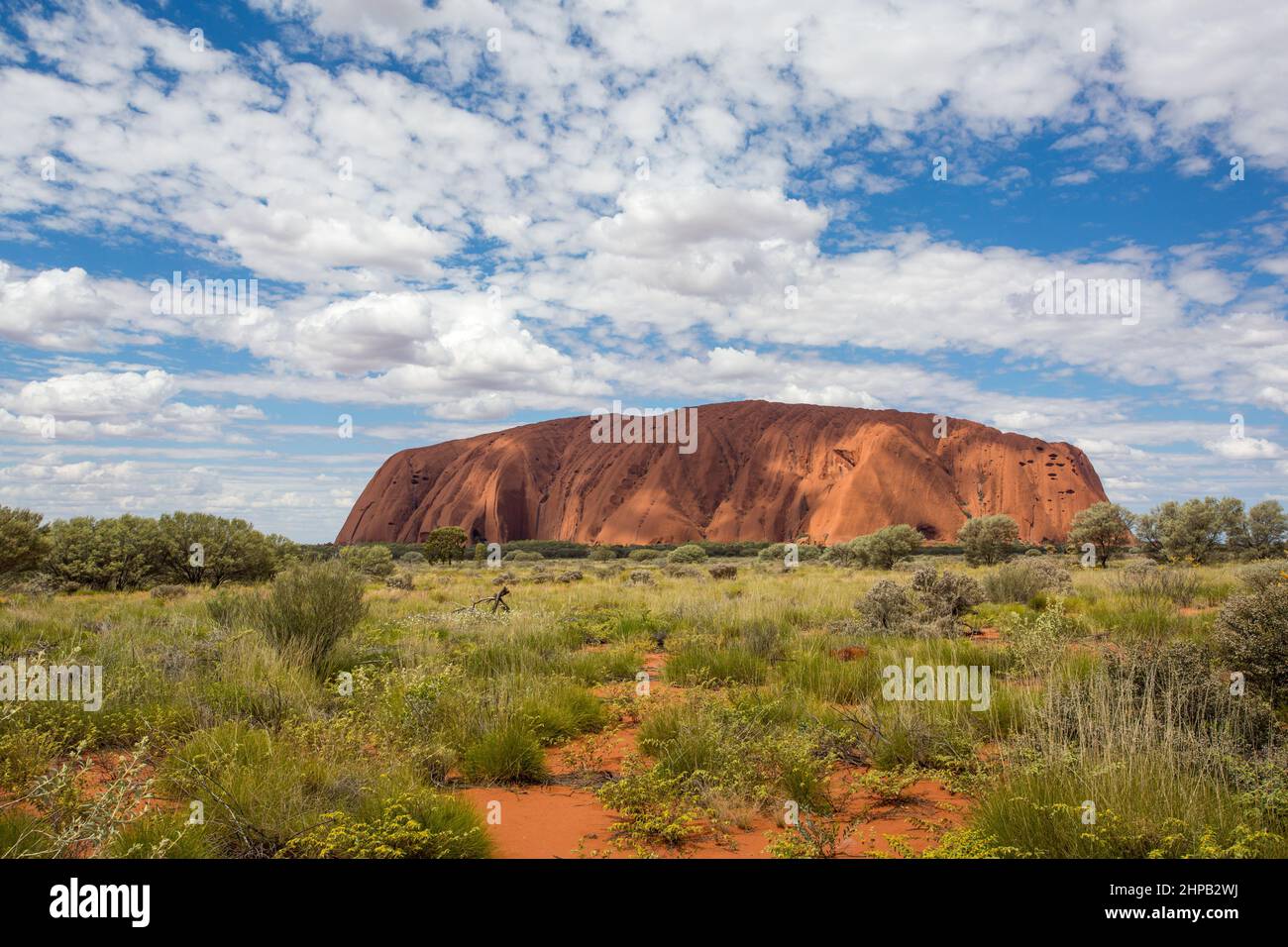Australie, 22 septembre 2016 : printemps à Uluru, territoire du Nord Banque D'Images