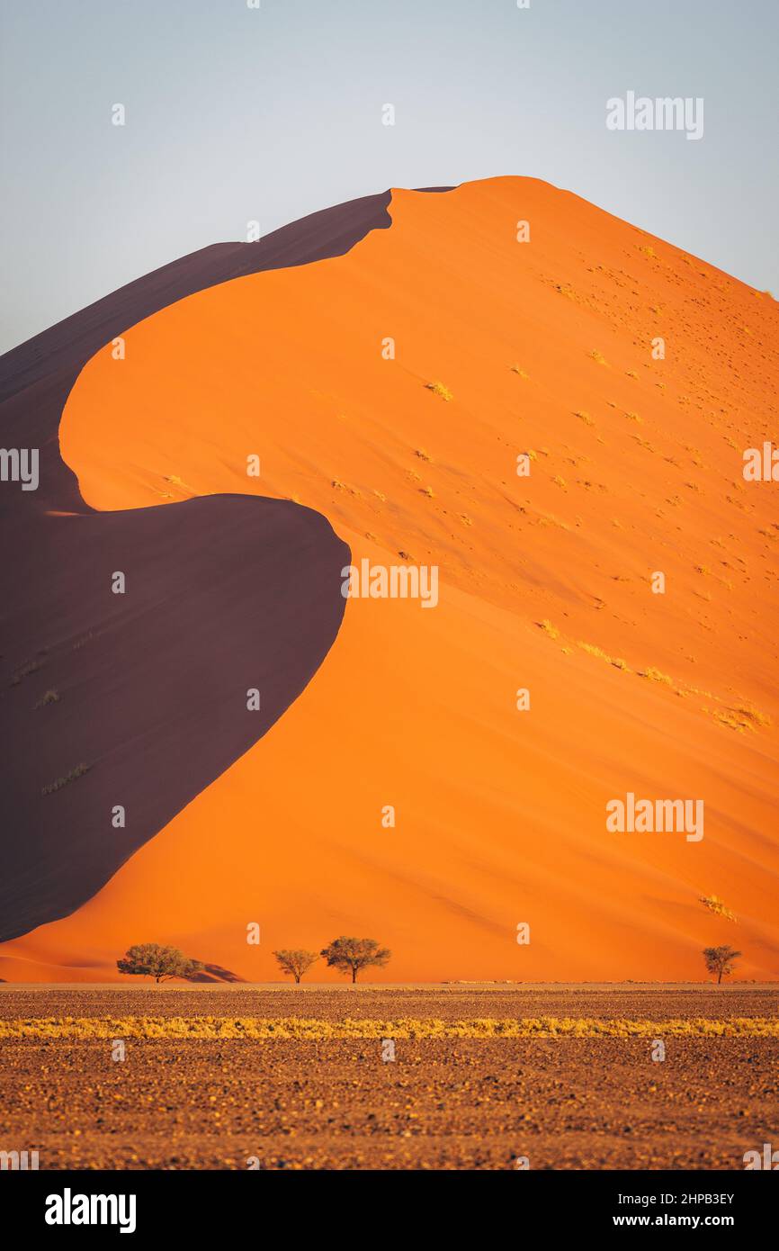 Dune 45 dans le désert de Namib Naukluft au lever du soleil, Namibie, Afrique australe Banque D'Images