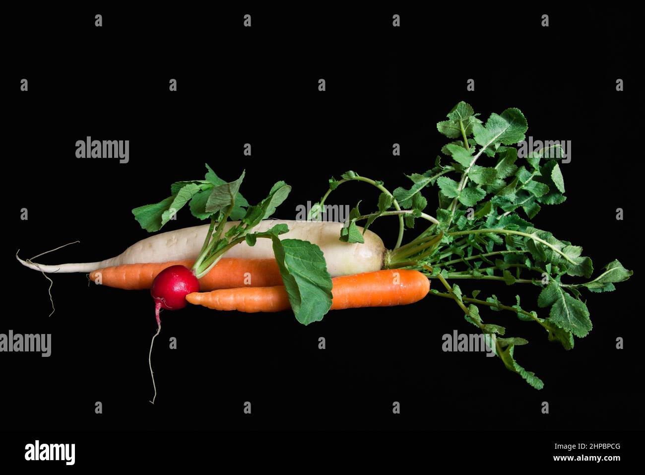 Groupe de légumes sur fond noir, carottes, radis et Daikon Banque D'Images