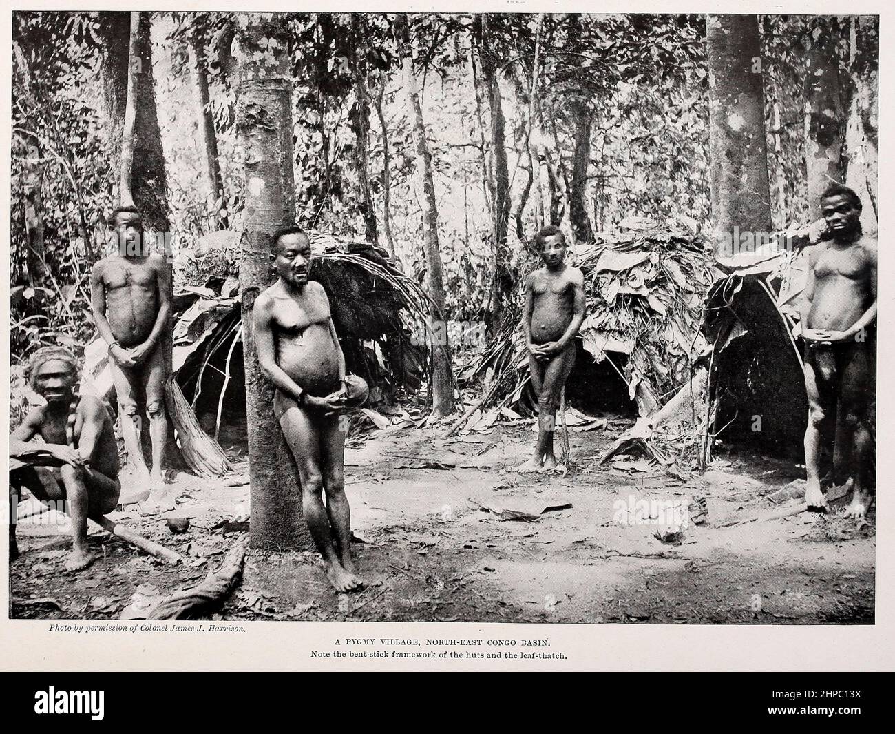 Un village pygmée du nord-est du Congo, notez le cadre Bent Stick des huttes et le Leaf-thatch du livre ' les races vivantes de l'humanité ' un récit illustré populaire des coutumes, des habitudes, des activités, Fêtes et cérémonies des races de l'humanité dans le monde par Sir Harry Hamilton Johnston et Henry Neville Hutchinson publié à Londres par Hutchinson & Co. En 1902 Banque D'Images