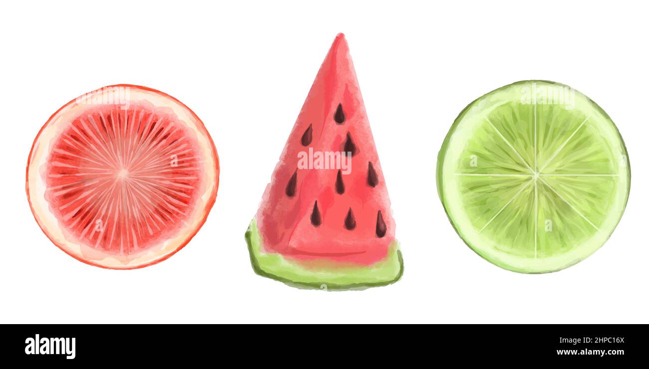 Ensemble de fruits d'aquarelle juteux et réalistes dessinés à la main. Illustration vectorielle. Pastèque, citron, pamplemousse, agrumes. Illustration de Vecteur