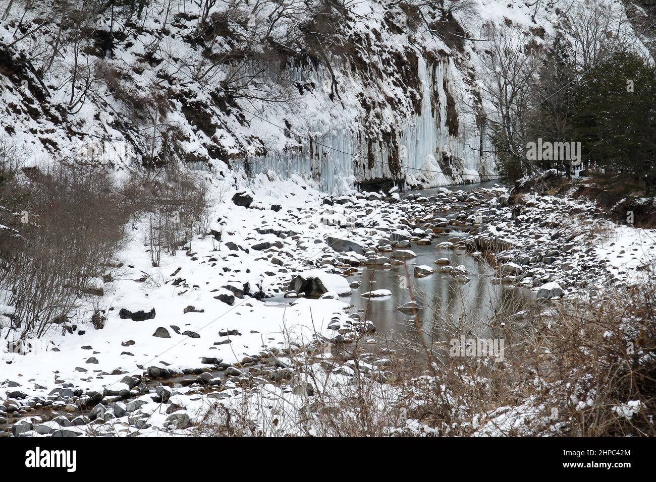 shirakawa, nagano, japon, 2022/20/02 , la vue des piliers de glace de Shirakawa est un phénomène naturel qui se produit chaque hiver le long d'une des falaises de Mt Banque D'Images