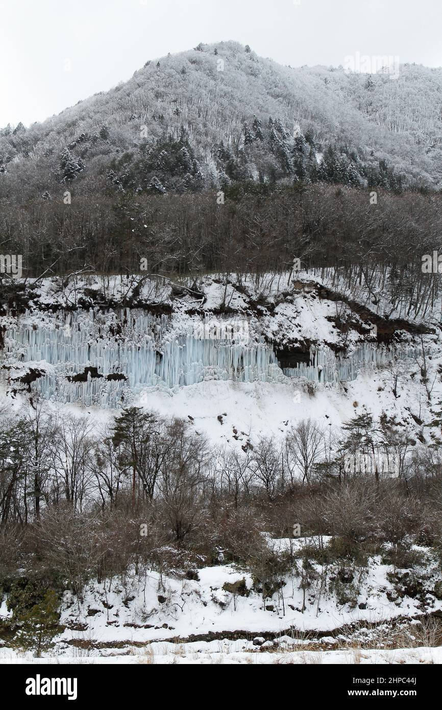 shirakawa, nagano, japon, 2022/20/02 , la vue des piliers de glace de Shirakawa est un phénomène naturel qui se produit chaque hiver le long d'une des falaises de Mt Banque D'Images