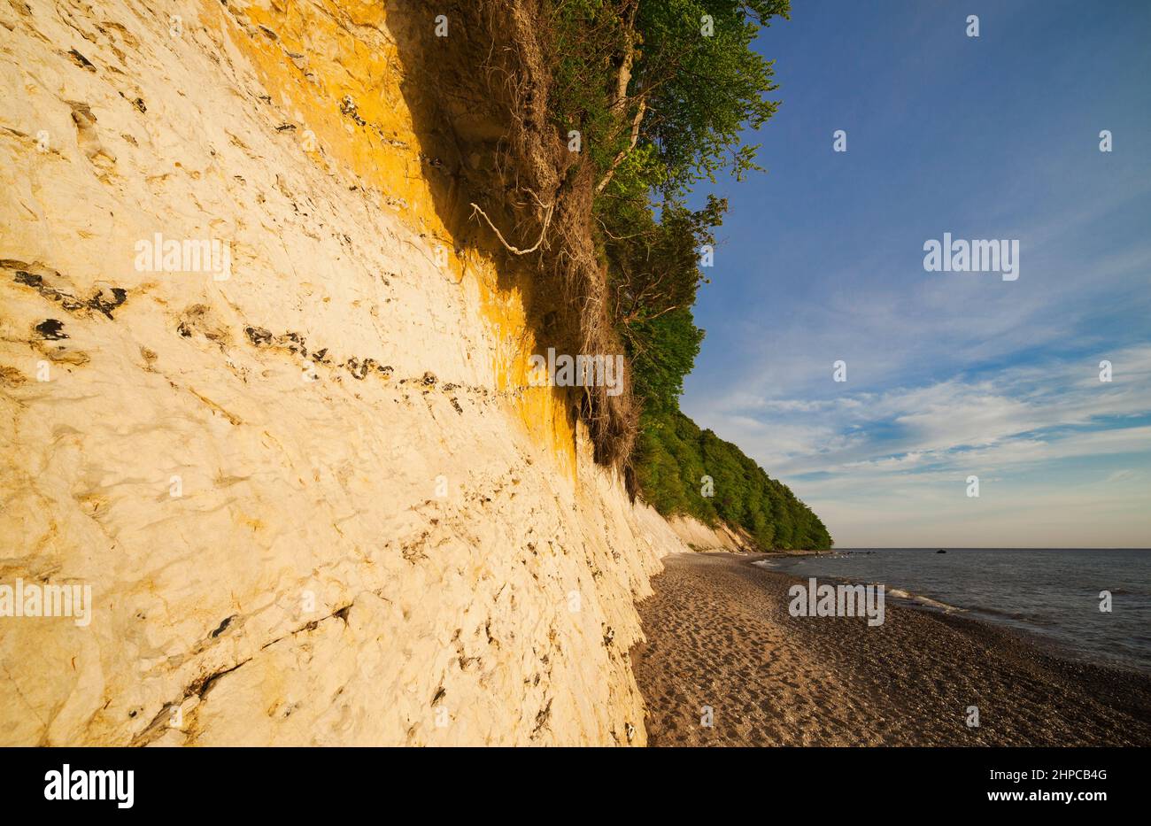 Mecklembourg-Poméranie occidentale, Mer Baltique côte mecklembourgeoise, Île Rügen, Parc national Jasmund mer ​​cliff Banque D'Images