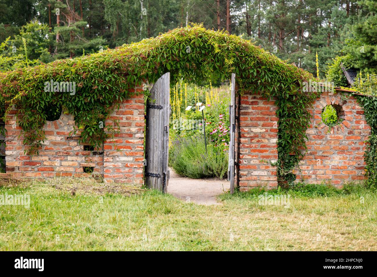 ancienne porte en bois menant au jardin, installée dans un mur de briques Banque D'Images