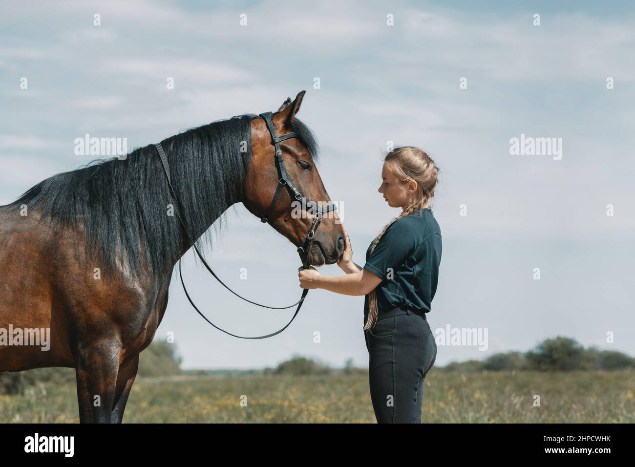Jeune femme debout à côté du cheval sur le terrain et touchant le museau de cheval avec la main. Banque D'Images