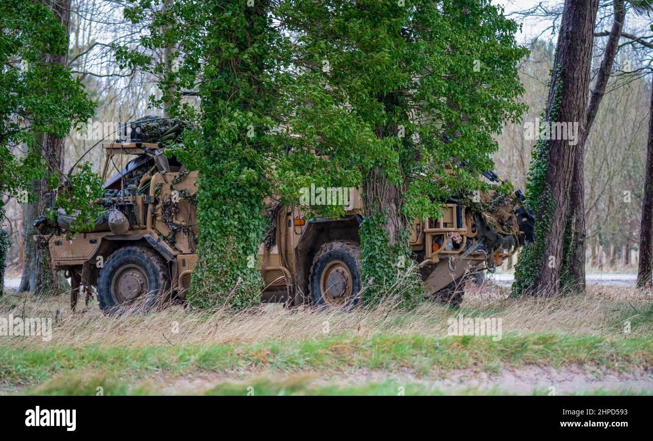 L'armée britannique Supacan Jackal 4x4 d'assaut rapide, de soutien au feu et de véhicules de reconnaissance lors d'un exercice militaire d'entraînement de combat, Wiltshire Royaume-Uni Banque D'Images