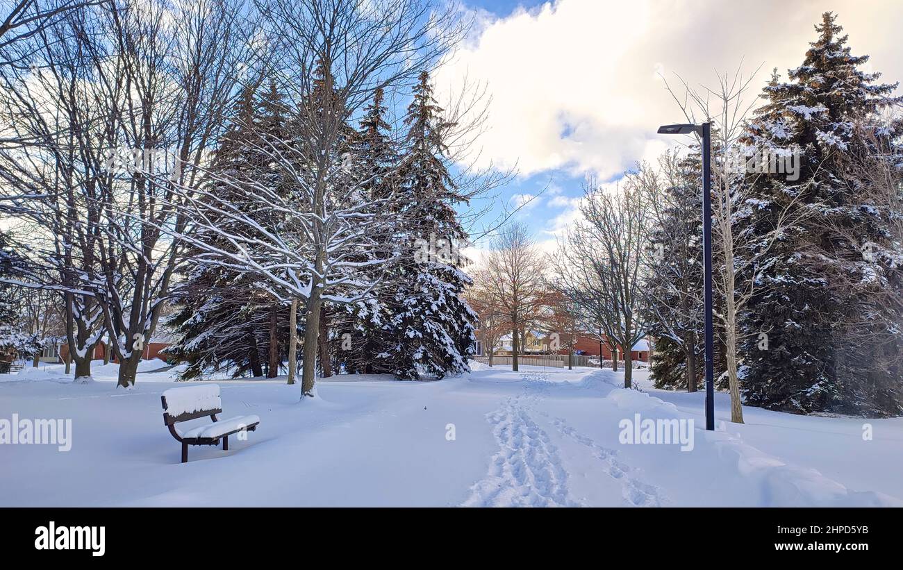 Paysage pittoresque du sentier avec les empreintes dans le parc avec lumière de la rue et banc du parc. Banque D'Images