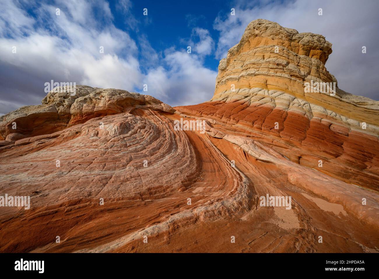 Formations de grès à White Pocket, monument national de Vermillion Cliffs, Arizona. Banque D'Images