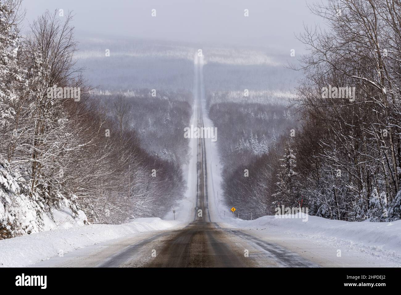 Route uebec 216, dans la région de Chaudière-Appalaches, en hiver avec une grande vue panoramique sur la forêt neigeuse bordant la route neigeuse partielle. Banque D'Images