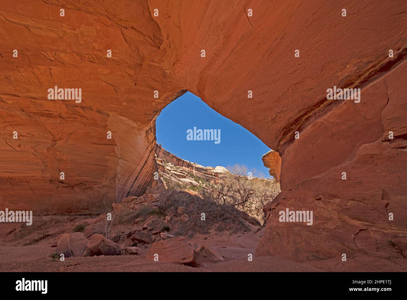 Piquer à travers une fenêtre dans le désert au pont Kachina dans le monument national de Natural Bridges dans l'Utah Banque D'Images