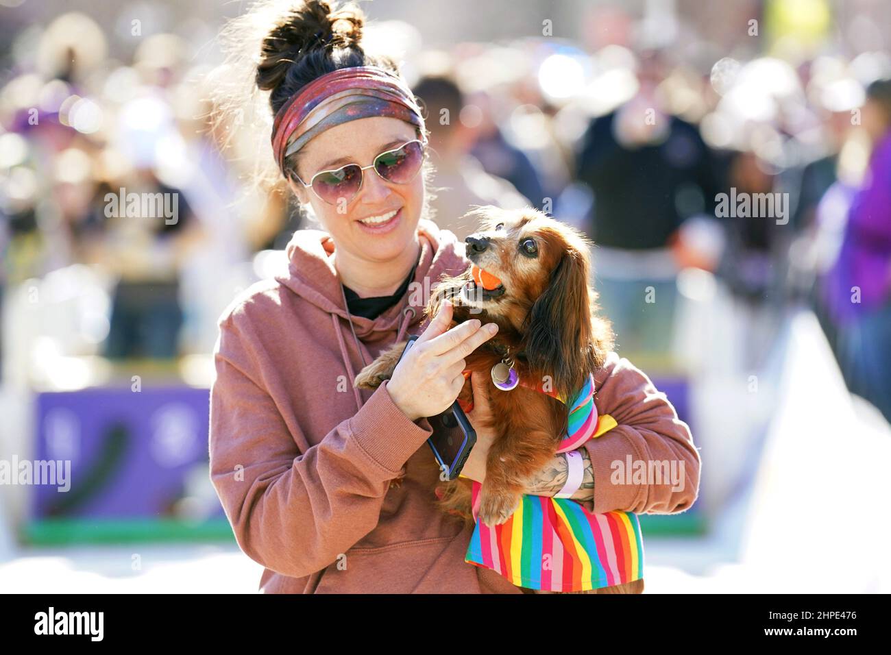 St. Louis, États-Unis. 20th févr. 2022. Une femme donne à son chien une balle après avoir fait la course pour chiens de Wiener au Purina PET Parade à Saint Louis le dimanche 20 février 2022. La parade des animaux de compagnie est l'un des événements célébrant la semaine annuelle Mardi gras de Saint-Louis. Photo par Bill Greenblatt/UPI crédit: UPI/Alay Live News Banque D'Images