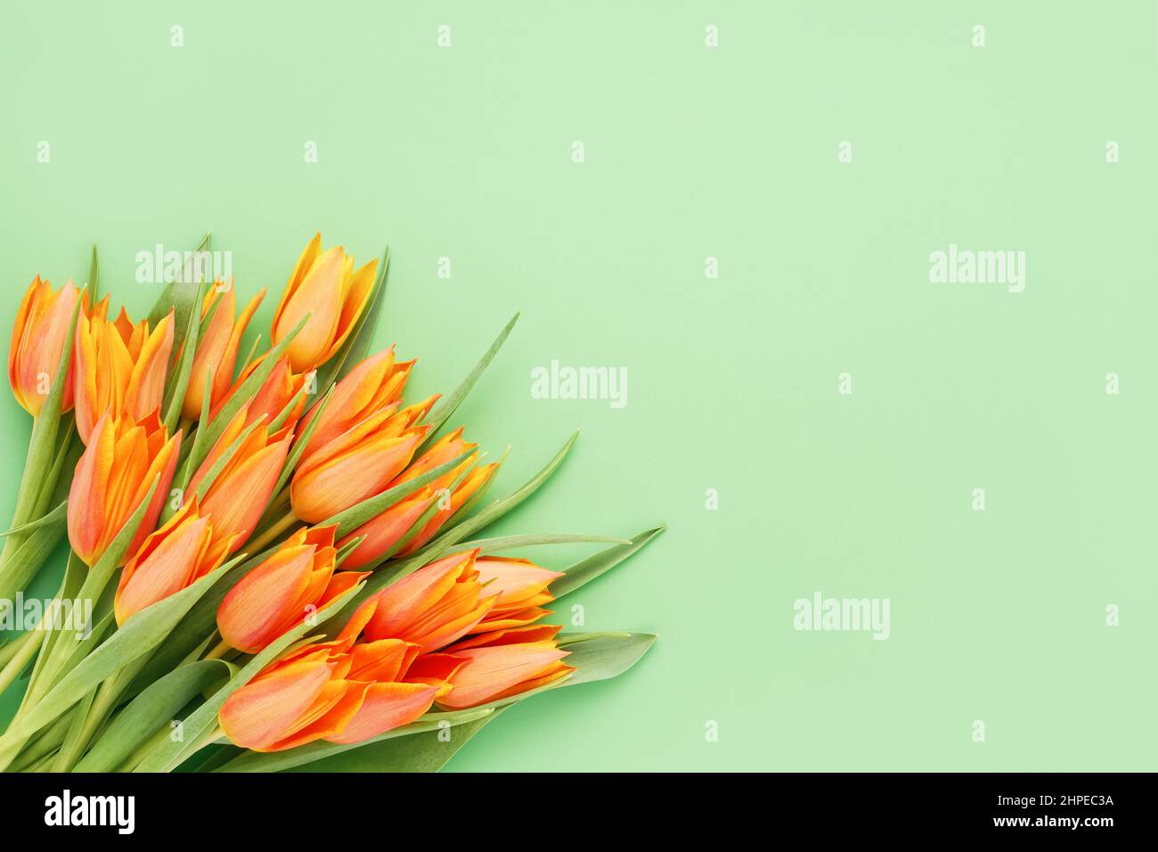 Bouquet de tulipes orange vif sur fond vert. Fête des mères, Saint Valentin, anniversaire c concept Banque D'Images