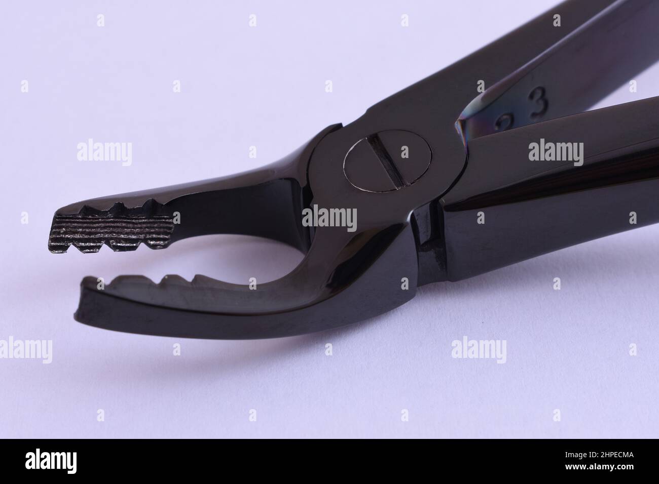 Extraction des mâchoires de la pince gros plan Banque D'Images