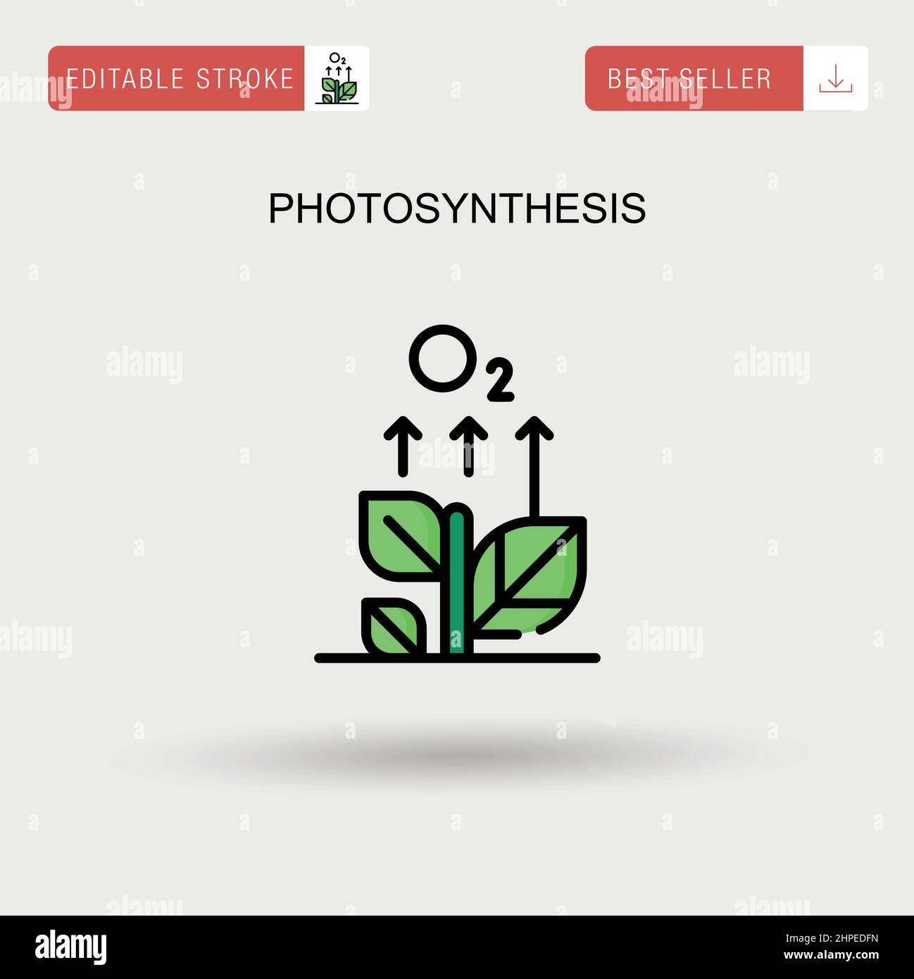 Photosynthèse simple vecteur icône. Illustration de Vecteur