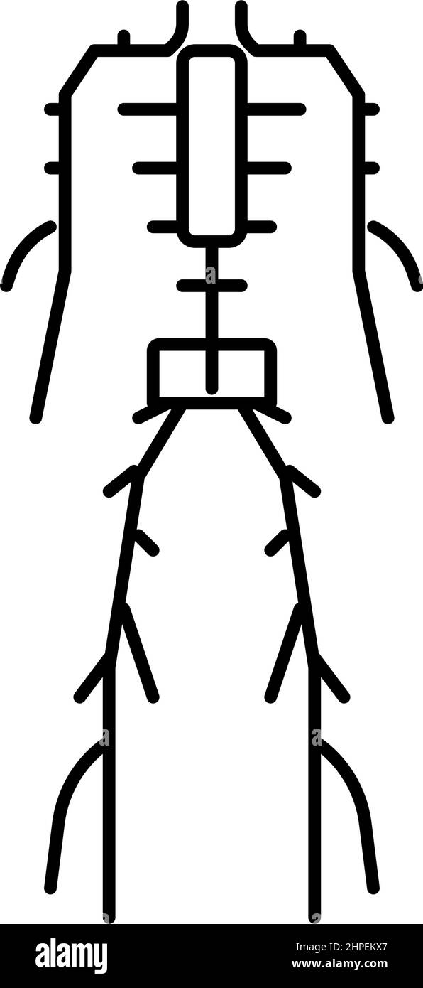 illustration vectorielle de l'icône de ligne du système lymphatique Illustration de Vecteur