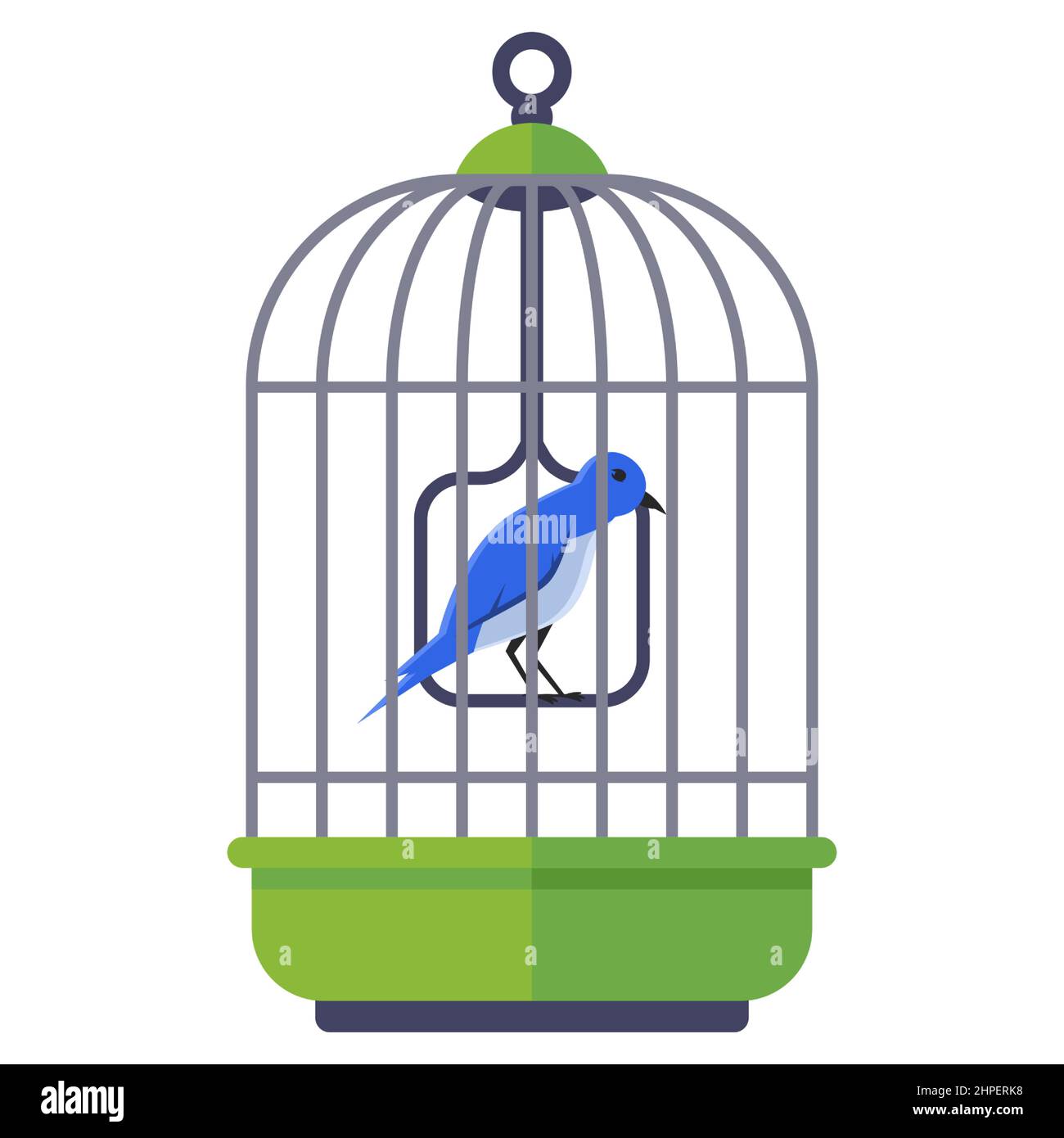 oiseau bleu dans une cage de fer. animal domestique à plumes. illustration vectorielle plate. Illustration de Vecteur