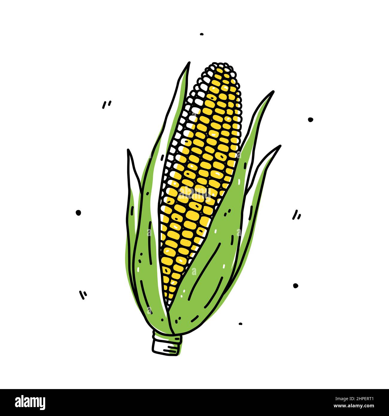 Épis de maïs isolés sur fond blanc. Aliments biologiques sains. Illustration vectorielle dessinée à la main, style doodle. Parfait pour les cartes, le logo, les décorations Illustration de Vecteur