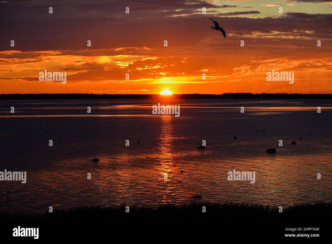 Soleil de minuit au solstice d'été à Oulu, fin Banque D'Images