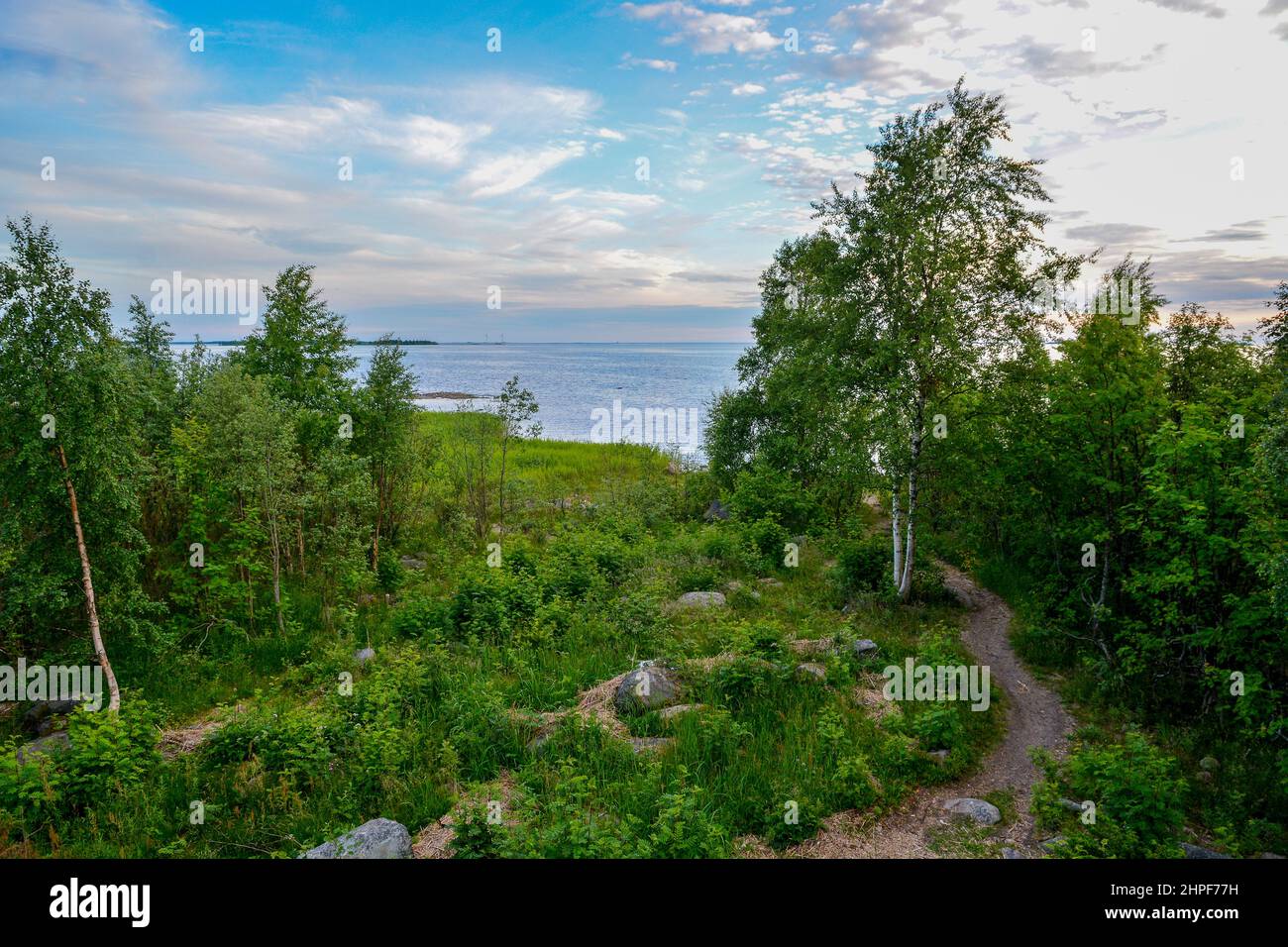 Paysage finlandais pendant le solstice d'été Banque D'Images