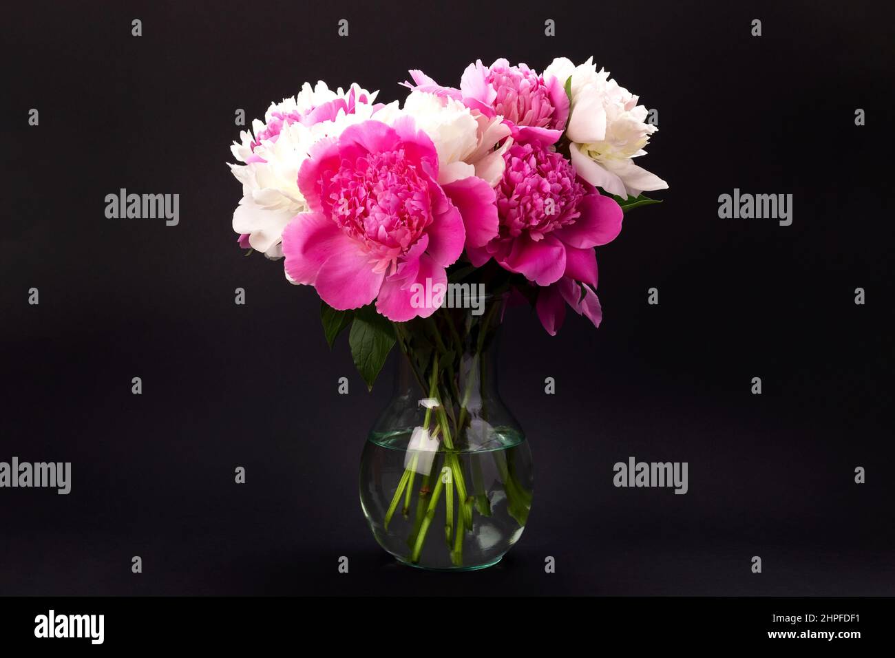 Bouquet de pivoines roses et blanches dans un vase en verre sur fond noir. Motif carte à fleurs Banque D'Images
