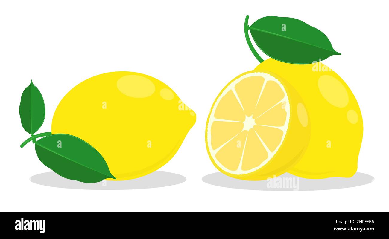 citron entier avec un morceau d'agrumes. Citron avec zeste haché et feuilles. Vecteur de couleur de style dessin animé isolé sur fond blanc Illustration de Vecteur