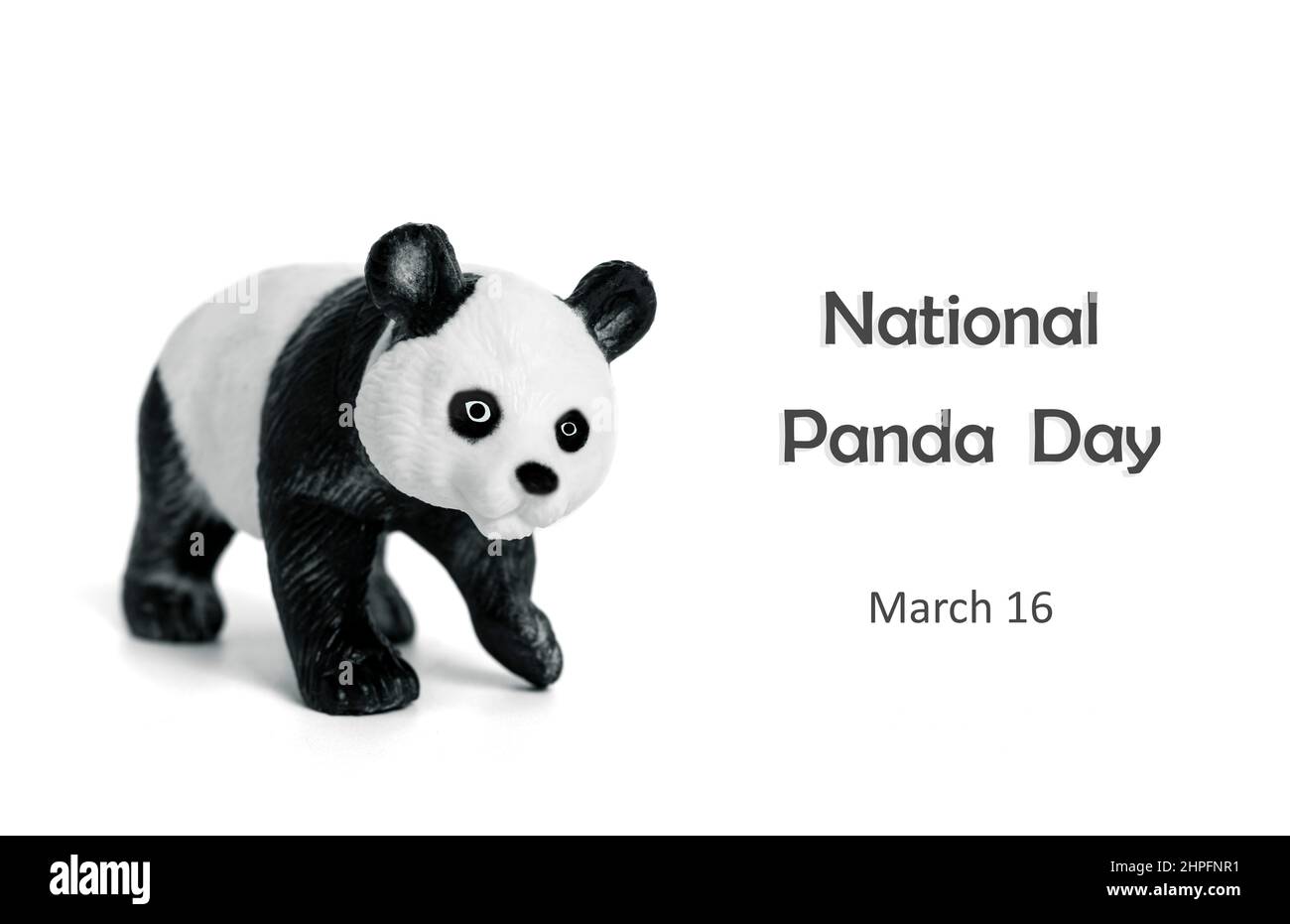 Journée nationale des panda 16 mars Célébrez les ours les plus fins et les plus mouflons de bambou qui sont source de fierté nationale pour la Chine. C'est pourquoi il est important de prot Banque D'Images