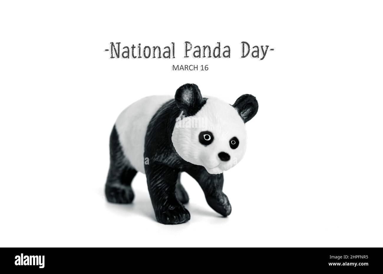 Journée nationale des panda 16 mars Célébrez les ours les plus fins et les plus mouflons de bambou qui sont source de fierté nationale pour la Chine. C'est pourquoi il est important de prot Banque D'Images