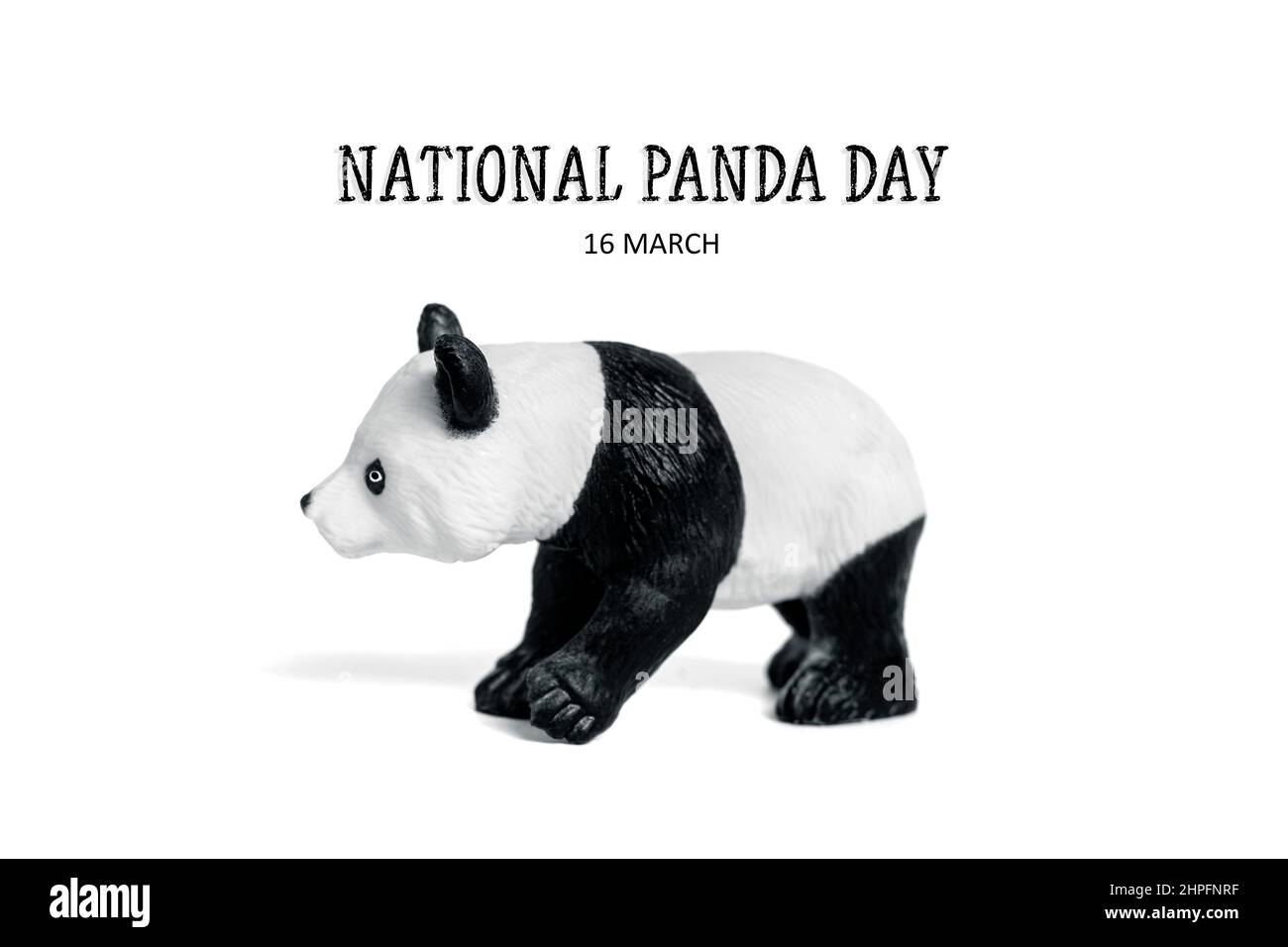 Journée nationale des panda 16 mars Célébrez les ours les plus fins et les plus mouflons de bambou qui sont source de fierté nationale pour la Chine. C'est pourquoi il est important de prot Banque D'Images