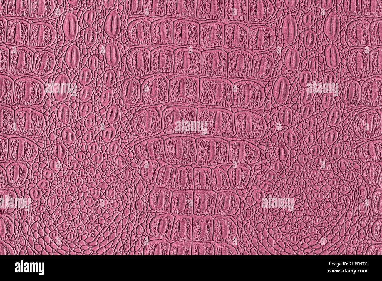 Texture cuir crocodile rose. Arrière-plan abstrait pour la conception. Banque D'Images