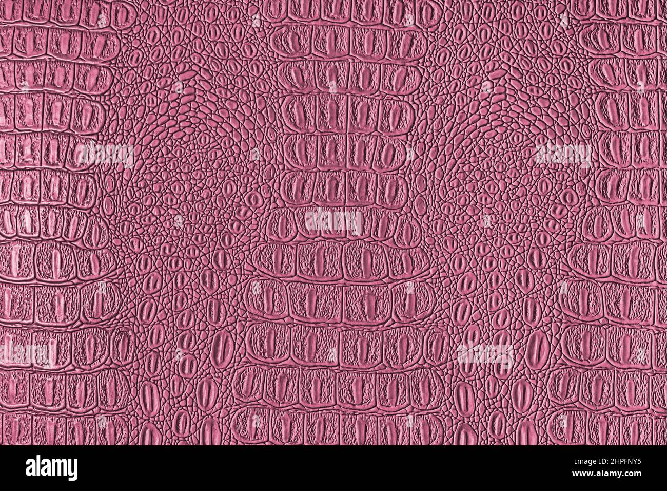 Texture cuir crocodile rose. Arrière-plan abstrait pour la conception. Banque D'Images