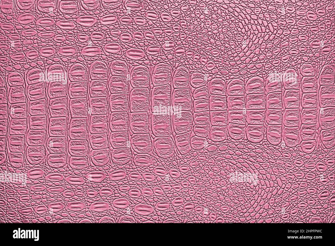 Texture cuir crocodile rose. Arrière-plan abstrait pour la conception. Banque D'Images