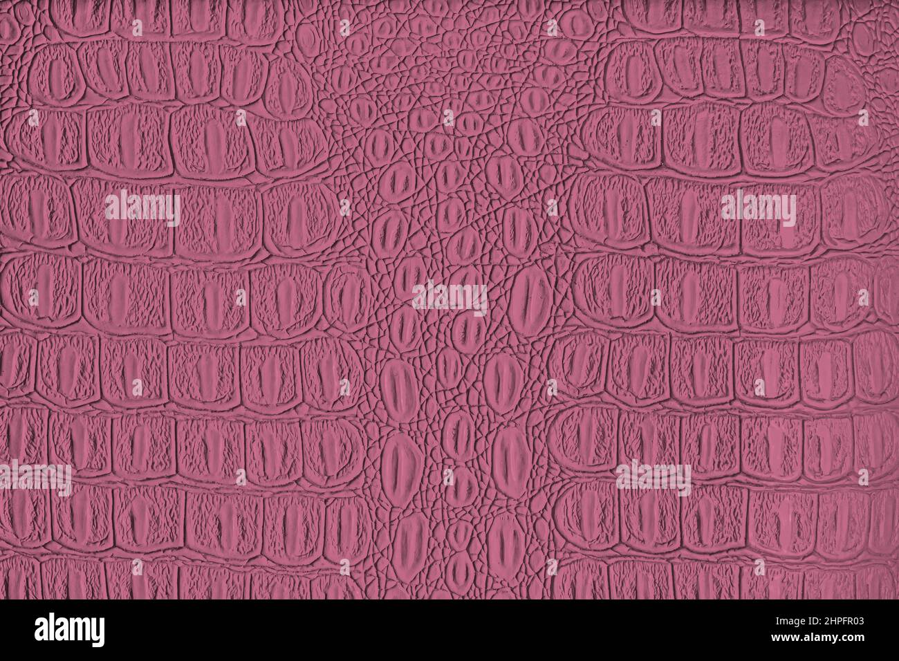 Texture cuir crocodile rose. Arrière-plan abstrait pour la conception. Banque D'Images
