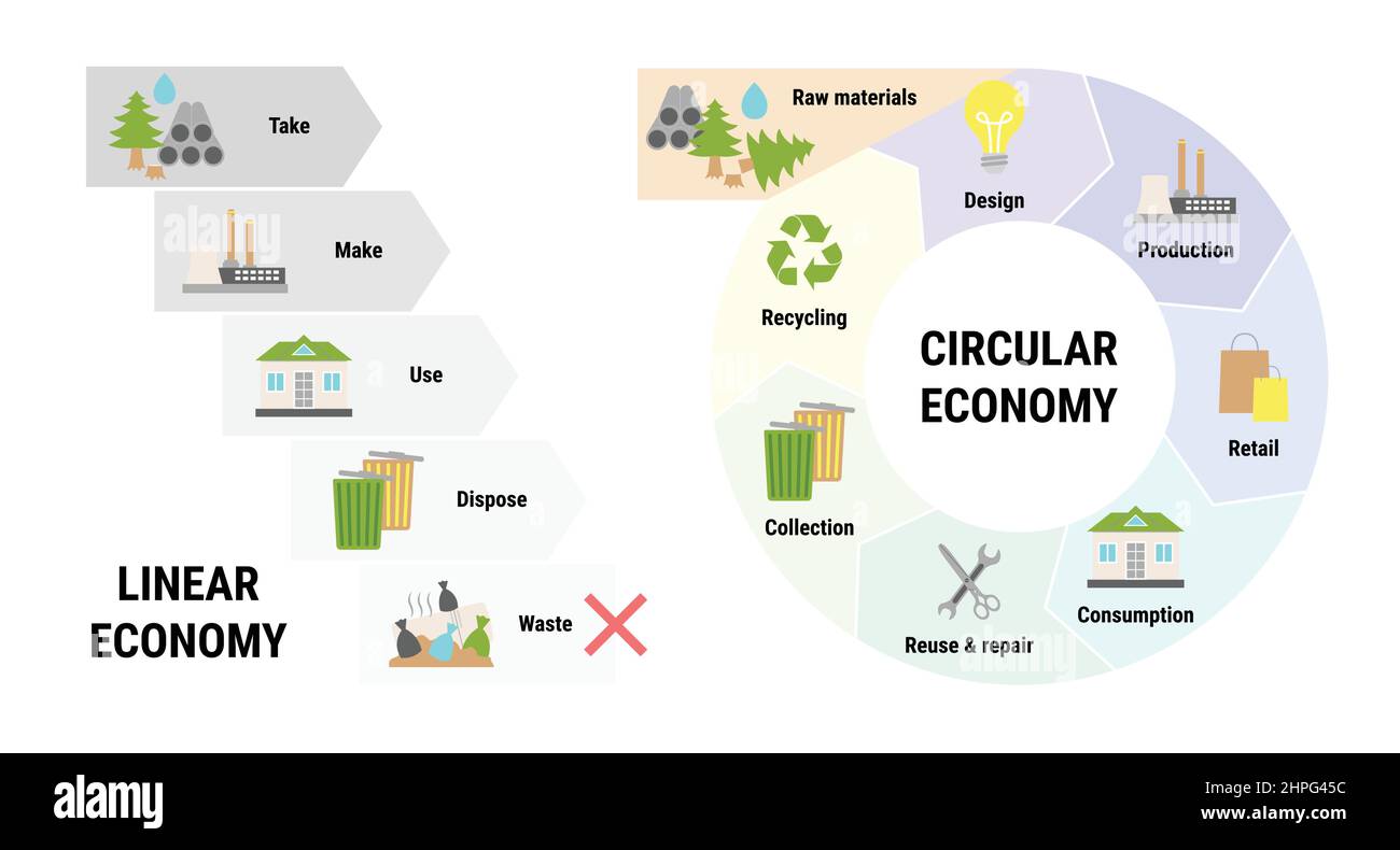 Infographie sur la comparaison des économies linéaires et circulaires. Modèle commercial durable. Schéma du cycle de vie du produit de la matière première à la production, consu Illustration de Vecteur